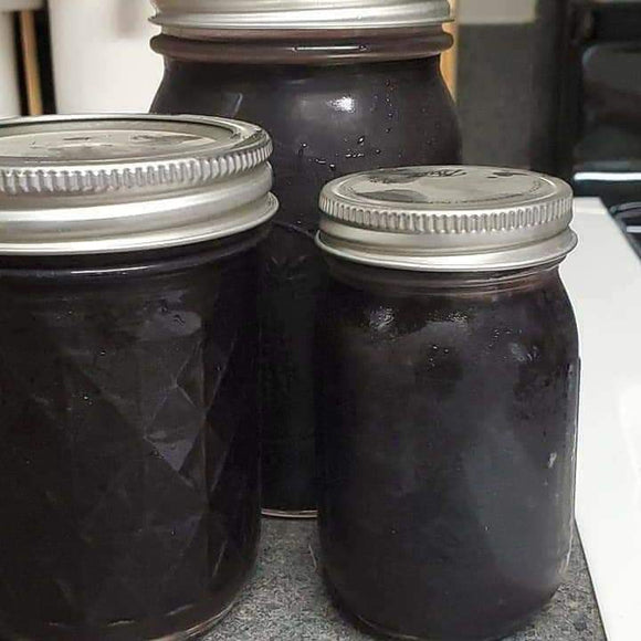 Elderberry Syrups